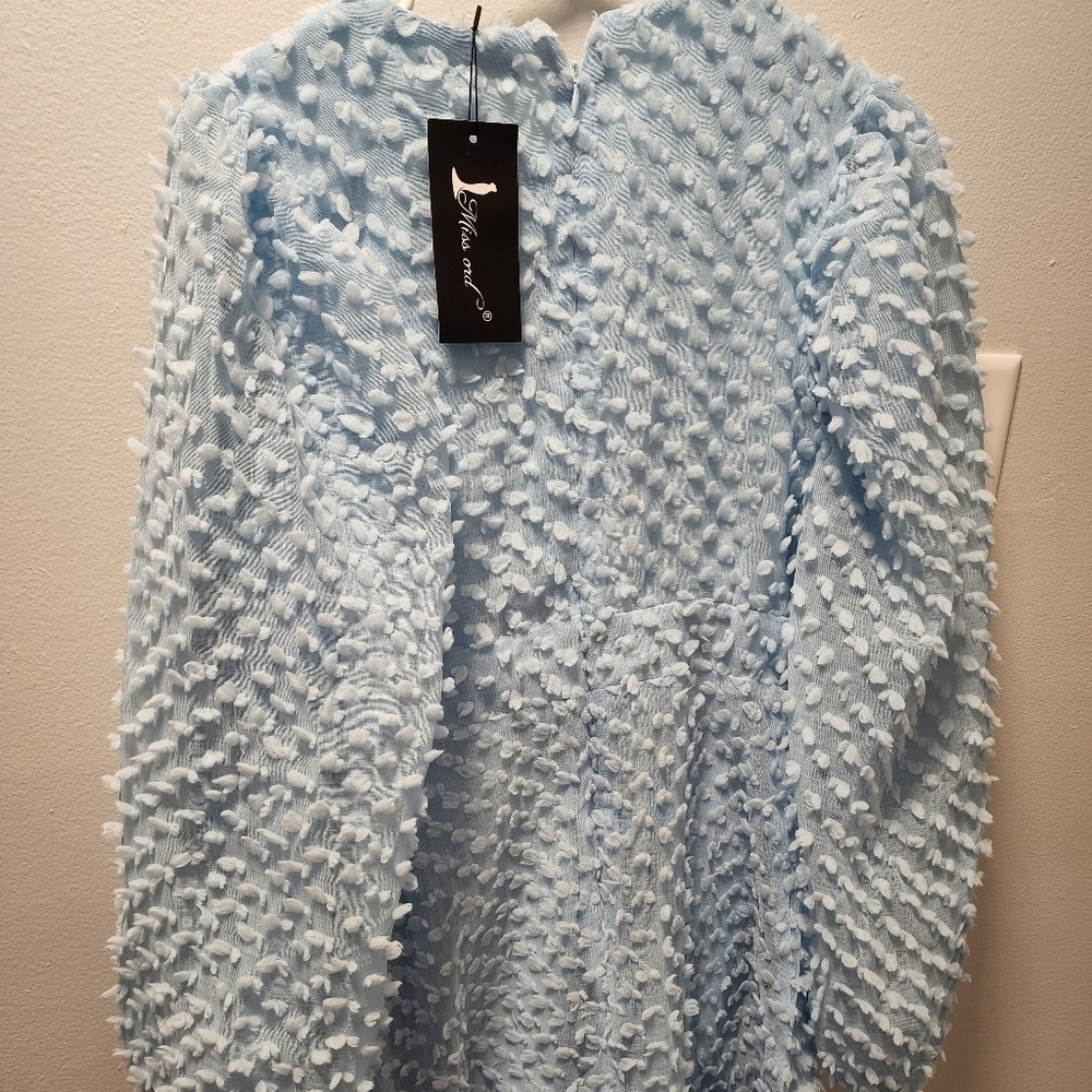 NWT Miss Ord long Sleeve dress